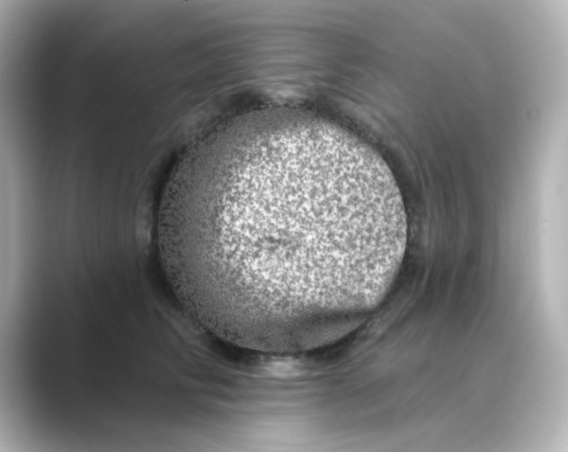 X0000088670710200706211851