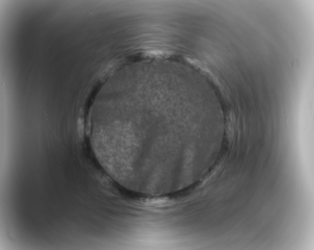 X0000088670716200706211851