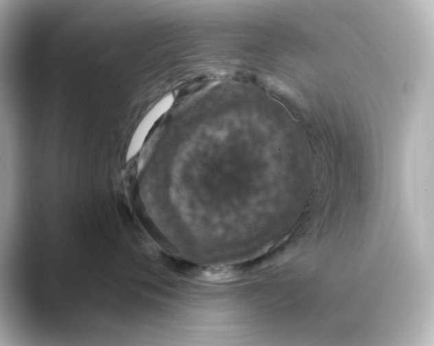 X0000088670720200706211851