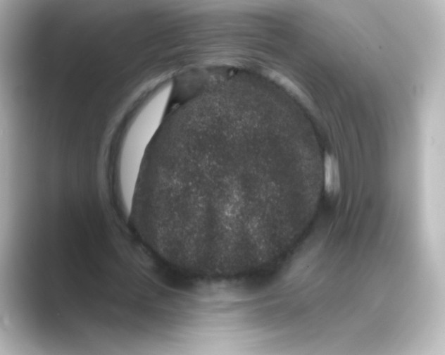 X0000088670723200706211850