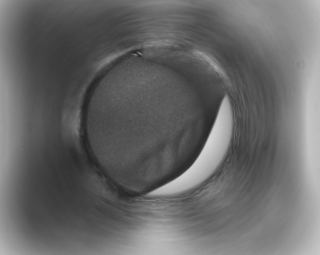 X0000088670724200706211850