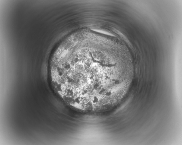 X0000088670725200706211850