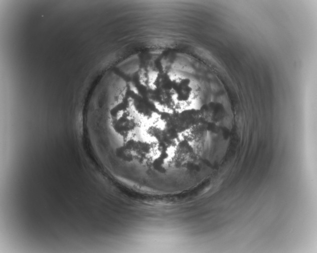 X0000088670729200706211850