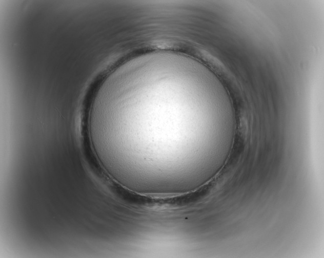X0000088670730200706211850