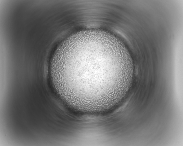 X0000088670733200706211850