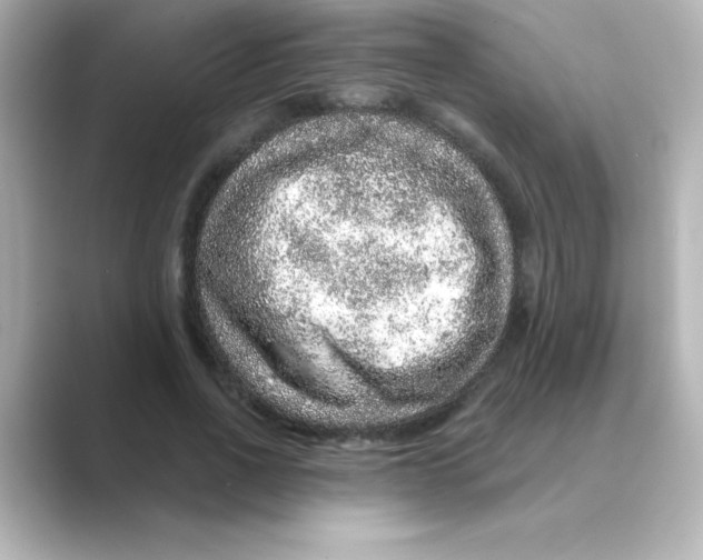 X0000088670734200706211850