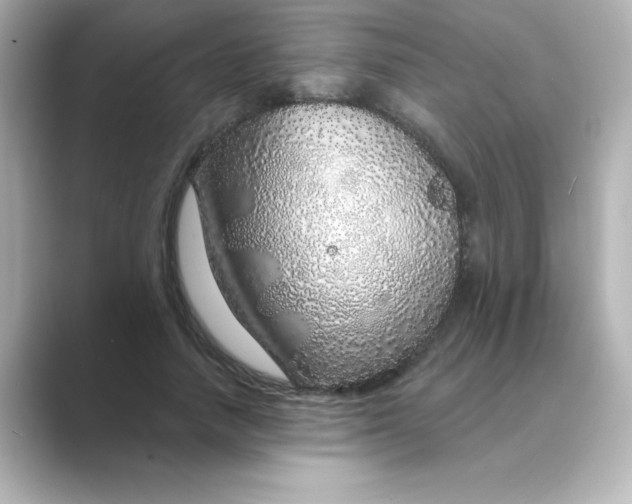 X0000088670738200706211850