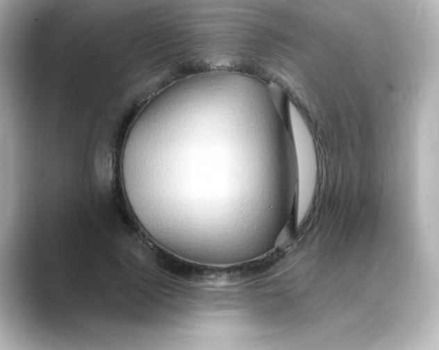 X0000088670740200706211850