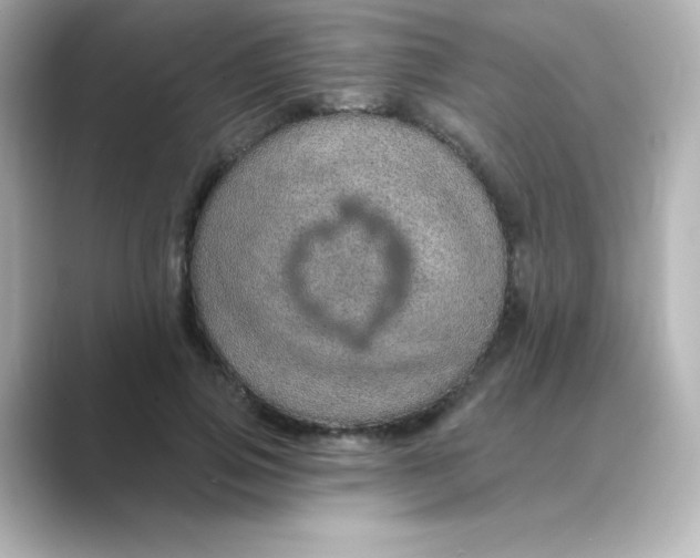 X0000088670741200706211850