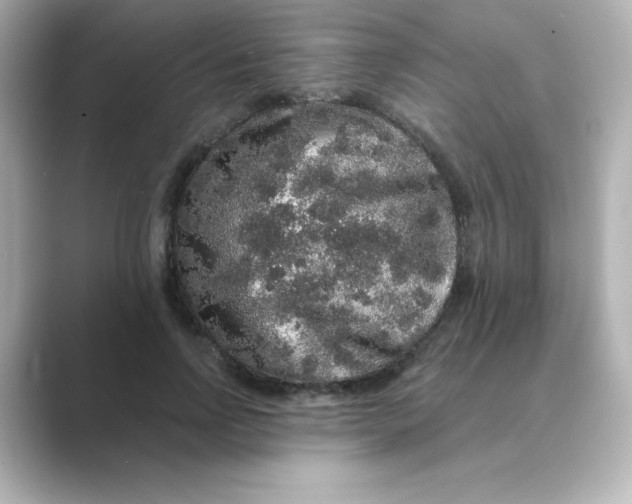 X0000088670742200706211850