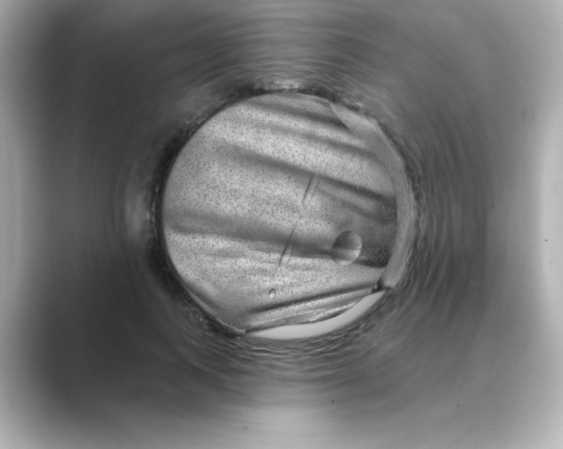 X0000088670743200706211850