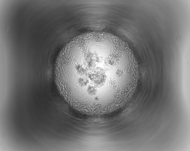 X0000088670745200706211850