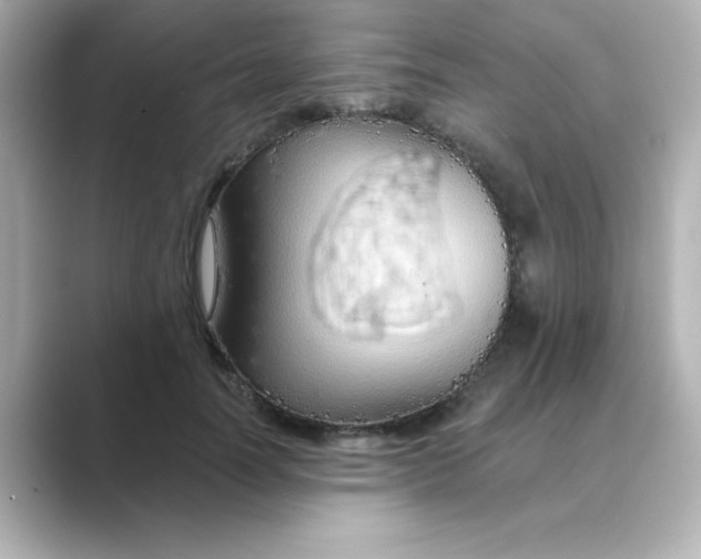 X0000088670746200706211850