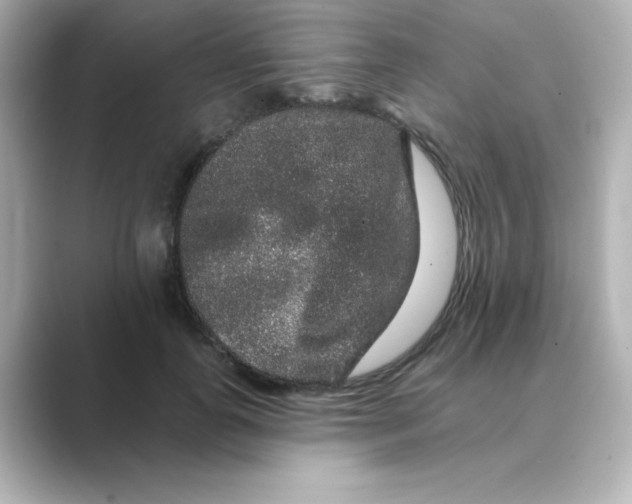 X0000088670747200706211850