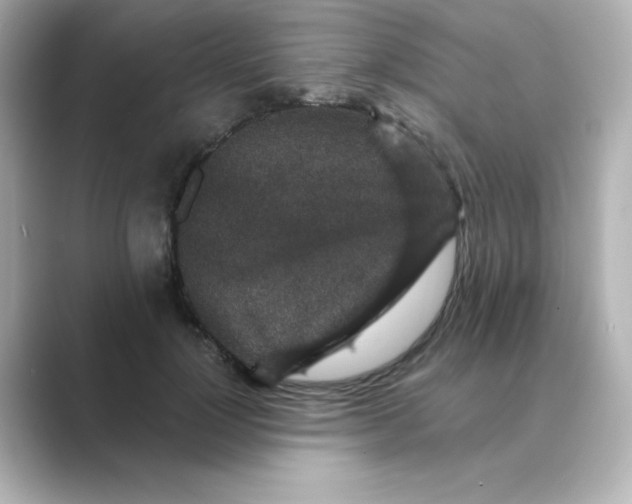 X0000088670748200706211850