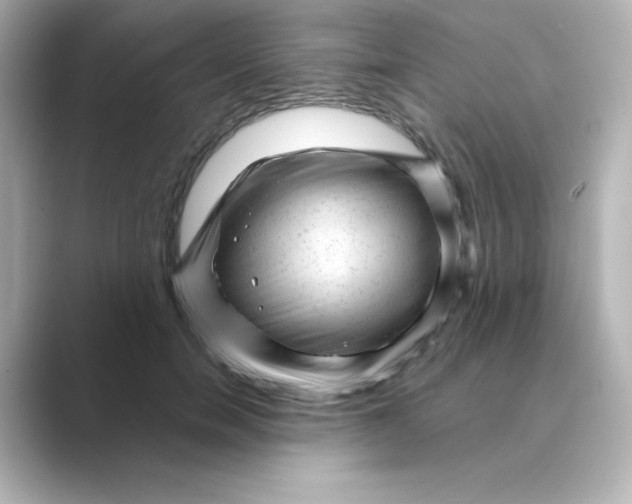 X0000088670750200706211850