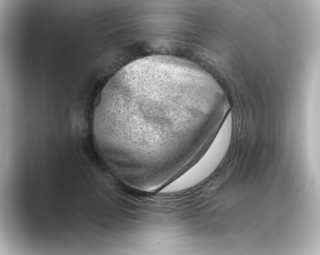 X0000088670751200706211850