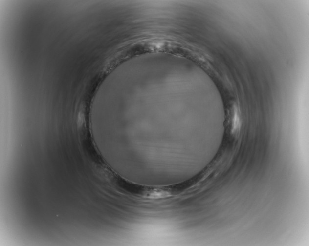 X0000088670754200706211851
