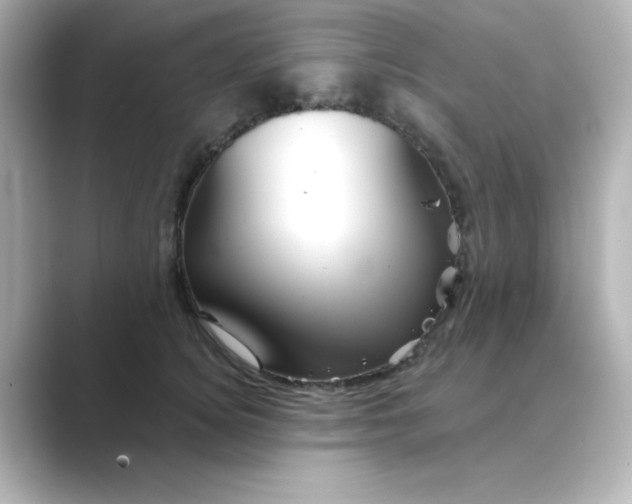 X0000088670756200706211851