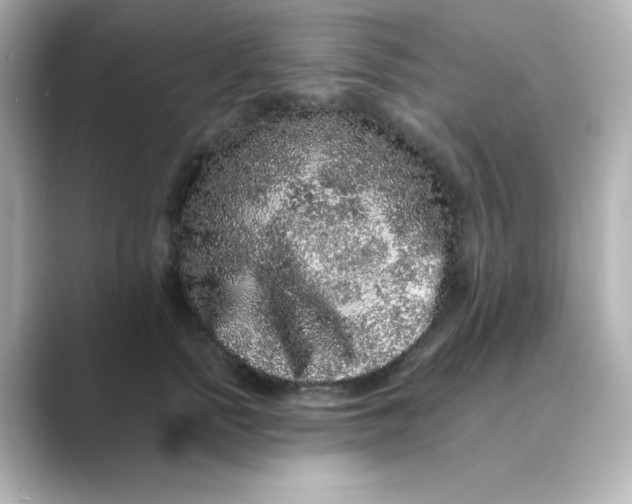 X0000088670758200706211851