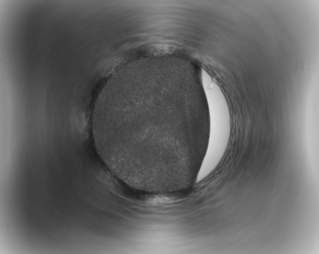 X0000088670759200706211851