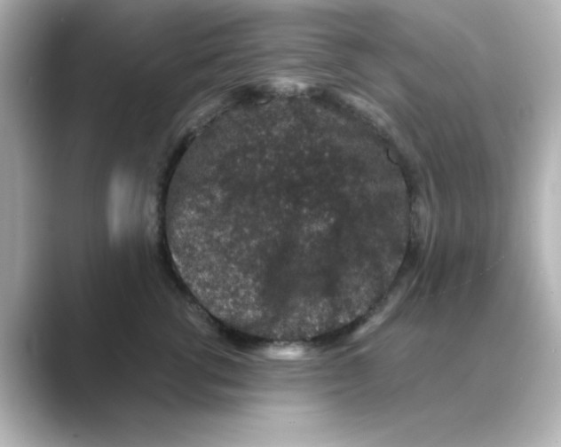 X0000088670762200706211851