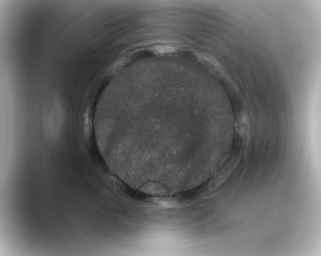 X0000088670763200706211851