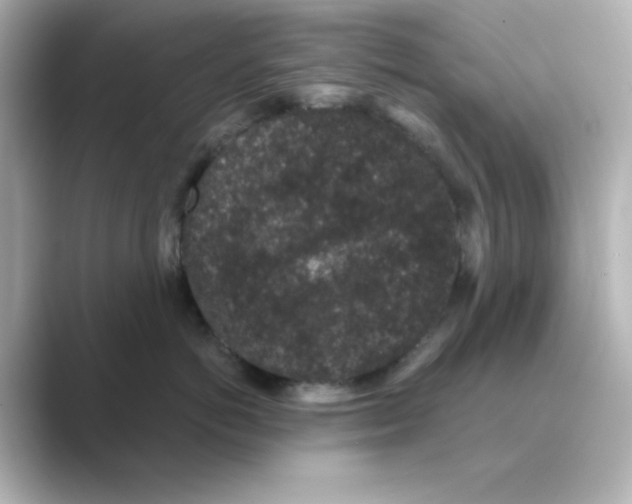 X0000088670766200706211851