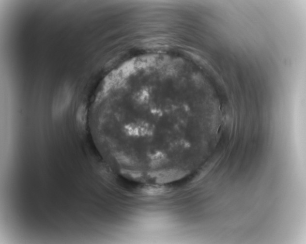 X0000088670767200706211851