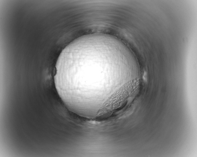 X0000088670771200706211850