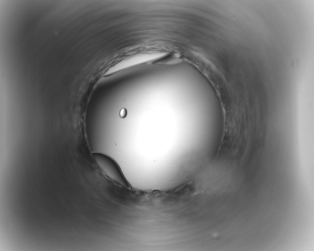 X0000088670773200706211850