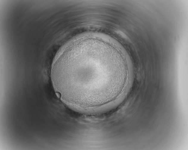 X0000088670774200706211850