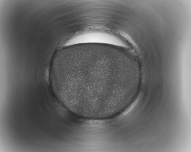 X0000088670777200706211850