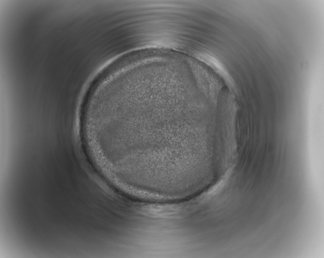 X0000088670780200706211850