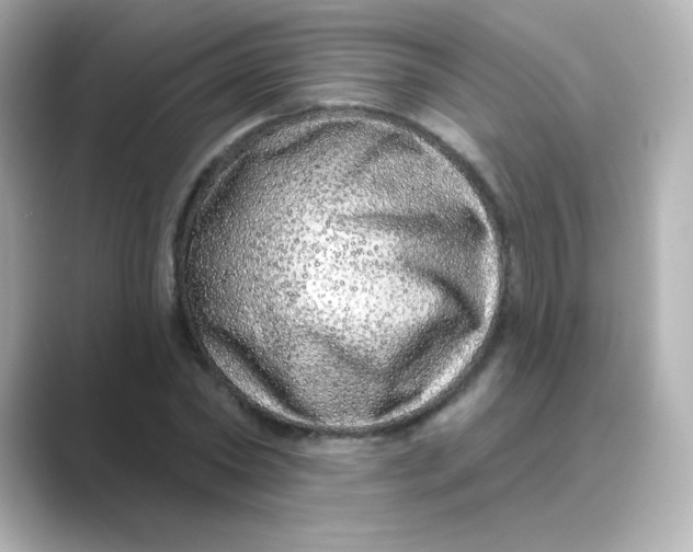 X0000088670782200706211850