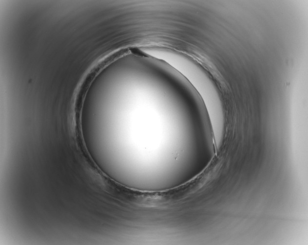 X0000088670784200706211850