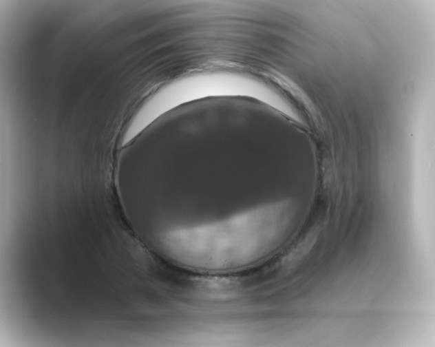 X0000088670785200706211850