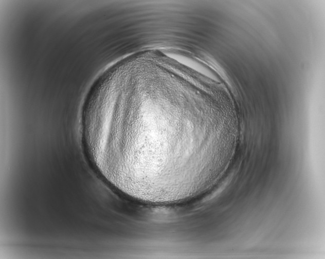 X0000088670787200706211850