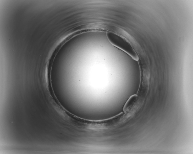 X0000088670788200706211850