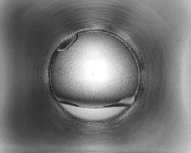 X0000088670789200706211850