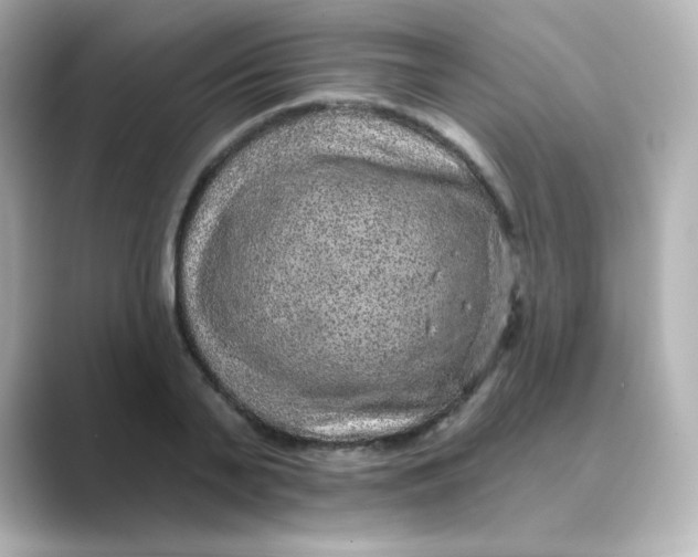 X0000088670791200706211850
