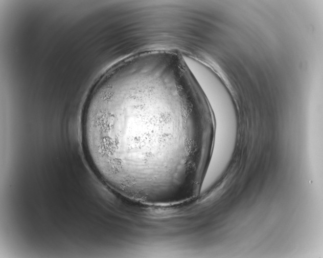 X0000088670795200706211850