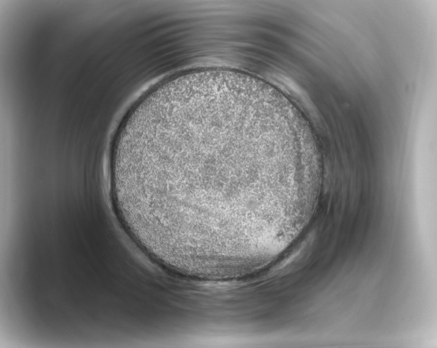 X0000088670796200706211850