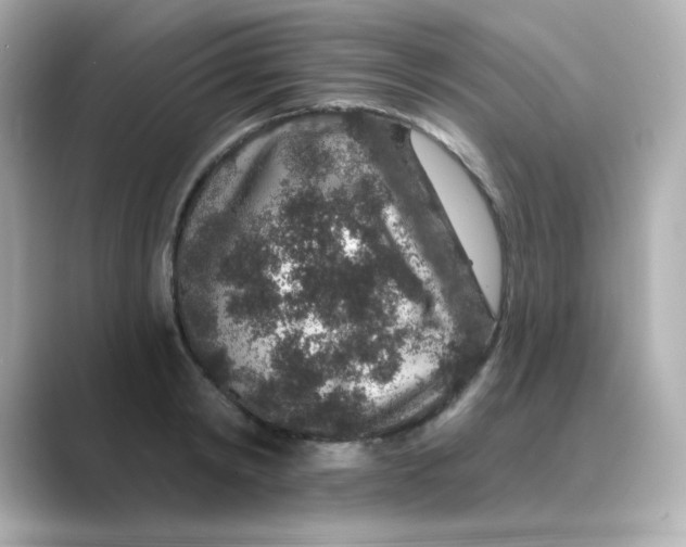 X0000088670798200706211850