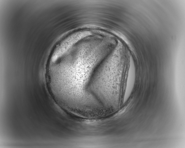 X0000088670799200706211850