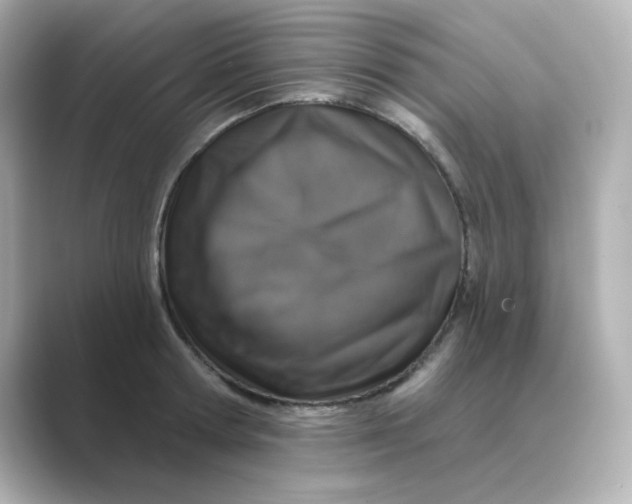 X0000088670802200706211850