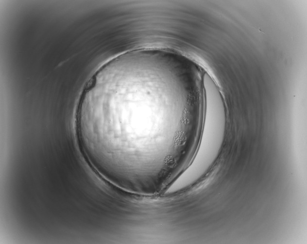 X0000088670803200706211850