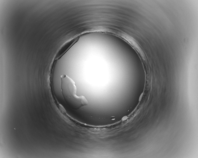 X0000088670805200706211850