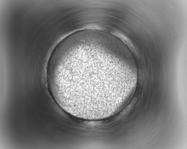X0000088670808200706211850