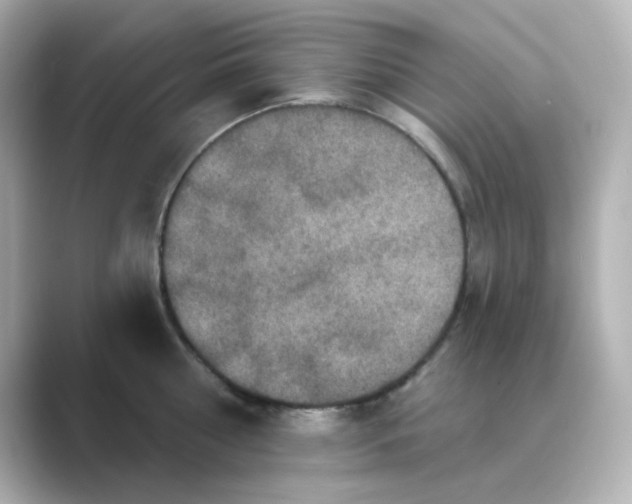 X0000088670810200706211850